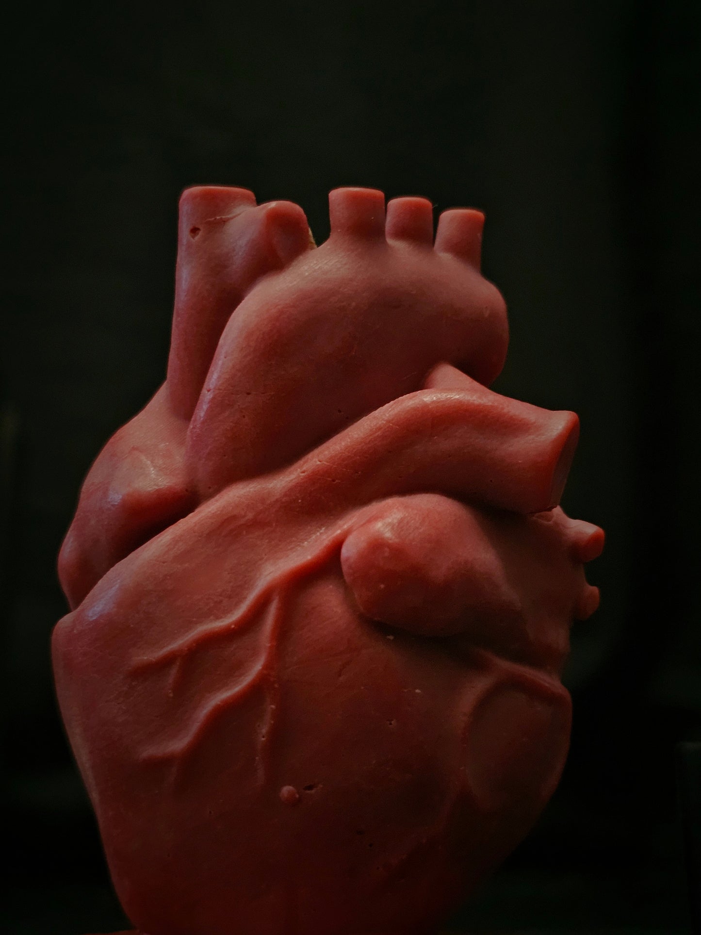 The Tell Tale Heart - An Anatomical Heart Shaped Candle
