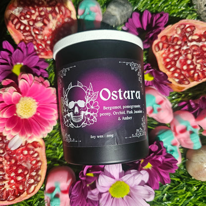 A black glass candle container with a white lid, labeled 'Ostara' with a graphic of a skull and flowers, surrounded by pomegranates and flowers on a green background.
