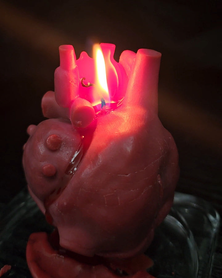 The Tell Tale Heart - An Anatomical Heart Shaped Candle